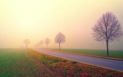 Selective Mutism: Understanding the Silent Struggle